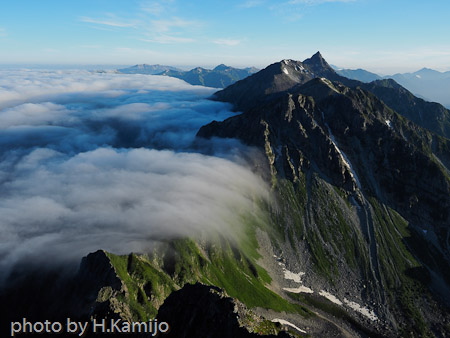 ハクサイイイチゲ